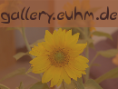 gallery.euhm.de